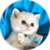 ferdaer
