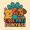 cinspatidunyasi