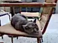 Deneme test ilanı