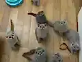 Teslime hazır 